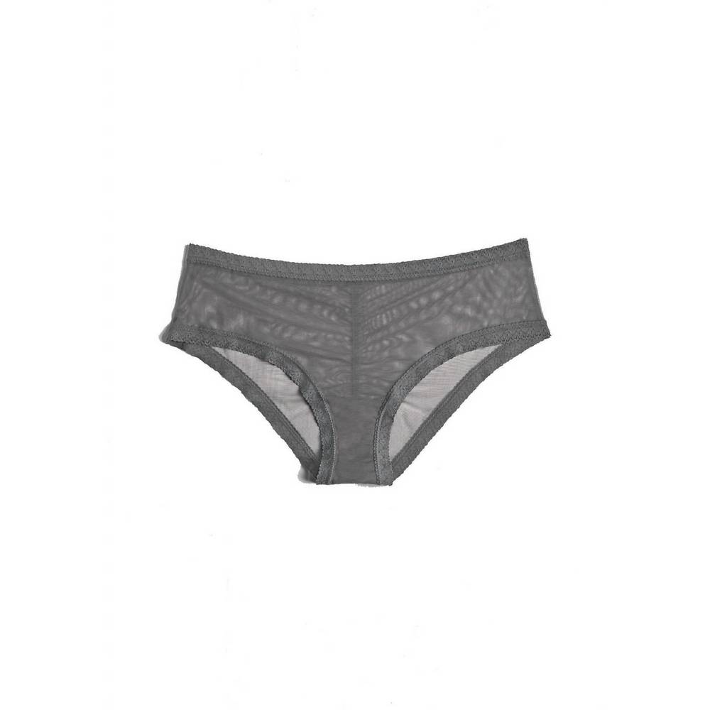 NEW BLUSH LINGERIE mesh lace trim hipster panty in lunar